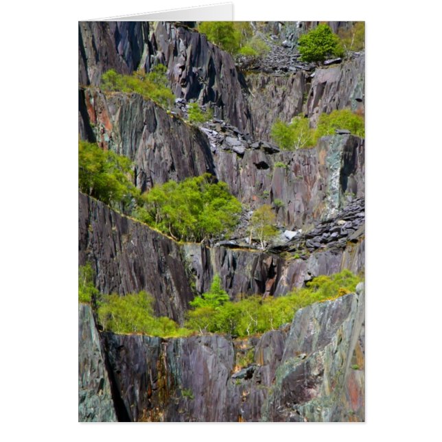 Slate cliff with trees (Front)