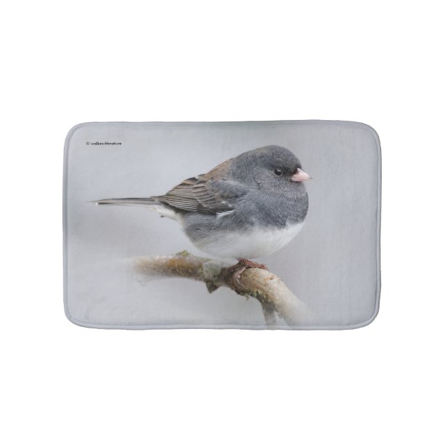 Slate-Coloured Dark-Eyed Junco on the Pear Tree Bath Mat (Front)