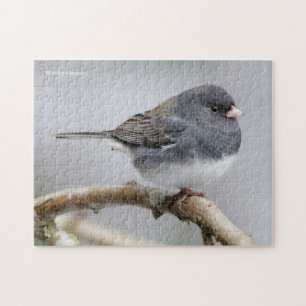 Slate-Coloured Dark-Eyed Junco on the Pear Tree Jigsaw Puzzle