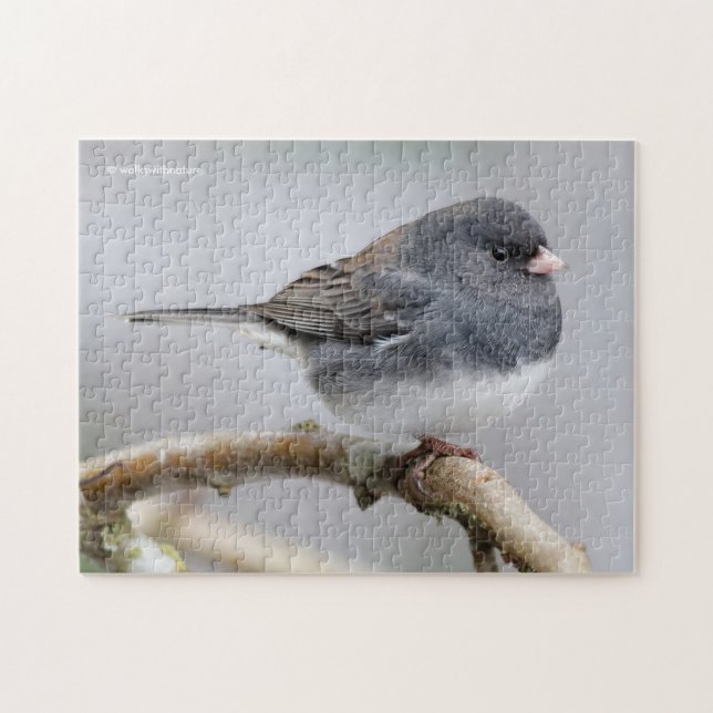 Slate-Coloured Dark-Eyed Junco on the Pear Tree Jigsaw Puzzle (Horizontal)