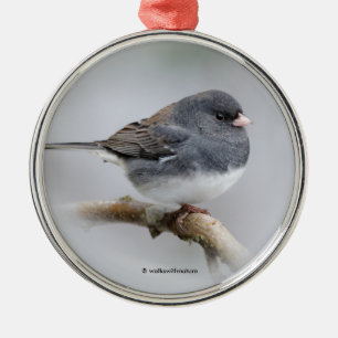 Slate-Coloured Dark-Eyed Junco on the Pear Tree Metal Tree Decoration