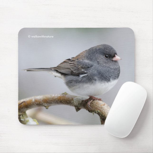 Slate-Coloured Dark-Eyed Junco on the Pear Tree Mouse Mat (With Mouse)