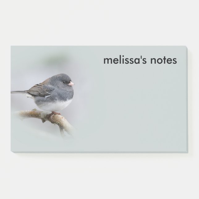 Slate-Coloured Dark-Eyed Junco on the Pear Tree Post-it Notes (Front)