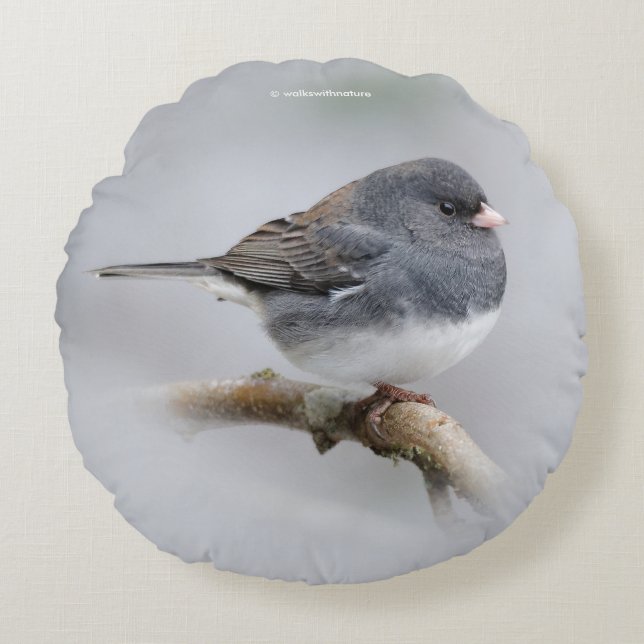 Slate-Coloured Dark-Eyed Junco on the Pear Tree Round Cushion (Front)