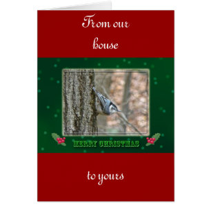 Slate Gray Nuthatch Christmas Songbird Christmas
