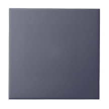 Slate Grey Colour Solid Colour | #56586c