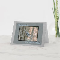Slate Grey Nuthatch Birthday Songbird