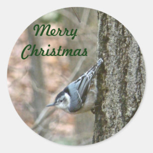 Slate Grey Nuthatch Christmas Songbird Christmas Classic Round Sticker