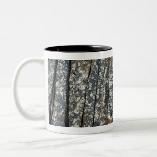 slates Two-Tone coffee mug