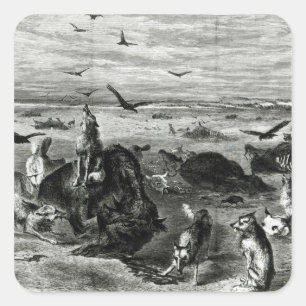 Slaughter of Buffaloes on the Plains Square Sticker