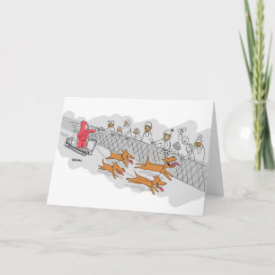 Sled Dog Race Holiday Greeting Card