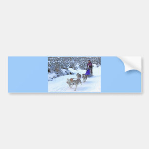 Sled Dog Racing Bumper Sticker