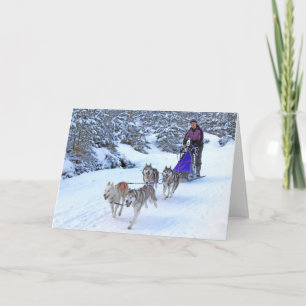 Sled Dog Racing Card