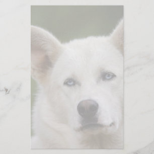 sled dog stationery