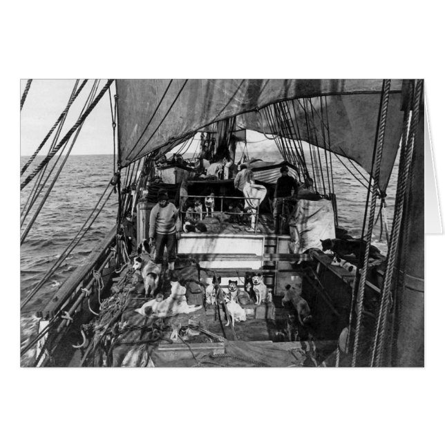 Sled Dogs at Sea (Front Horizontal)