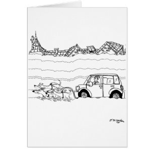 Sled Dogs Tow a Car