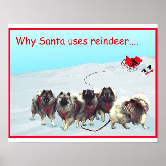 Sled Team Poster (Front)