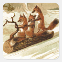 Sledding Foxes
