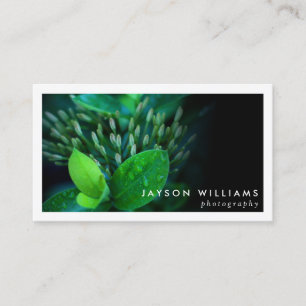 Sleek Bordered Photographer, Photo Business Card