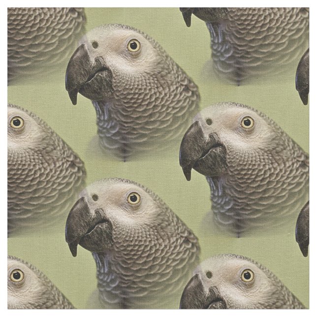Sleek Congo African Grey Parrot Fabric (Close Up)
