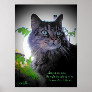 Sleep calls me poster