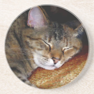 Sleep Cat Coaster