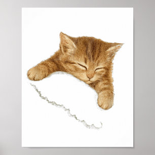 Sleep Cat Graphic, Vintage Cat Lover Tee,cute Cozy Poster