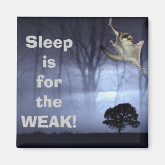Sleep is for the WEAK! Magnet
