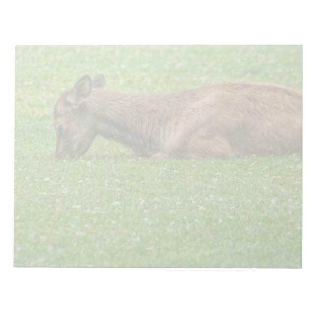 Sleep Little One Notepad (Front)