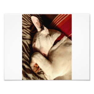 Sleep Tight Photo Print