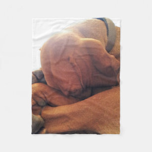 Sleep Time. Fleece Blanket