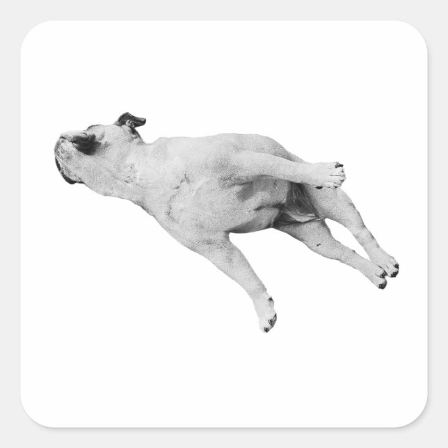 Sleeper Cutout, Noel Edition Square Sticker (Front)