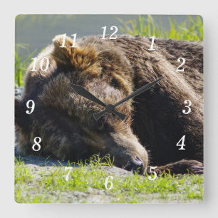 Sleeping Alaska Grizzly Bear Wall Clock