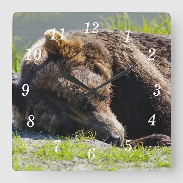 Sleeping Alaska Grizzly Bear Wall Clock (Front)