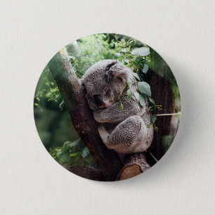 Sleeping Baby Koala 6 Cm Round Badge