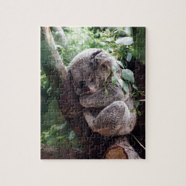 Sleeping Baby Koala Jigsaw Puzzle (Vertical)