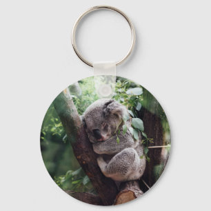Sleeping Baby Koala Key Ring