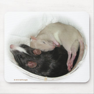 Sleeping baby rat mouse mat