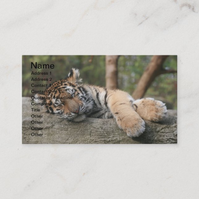 Sleeping Baby Tiger Business Card (Front)