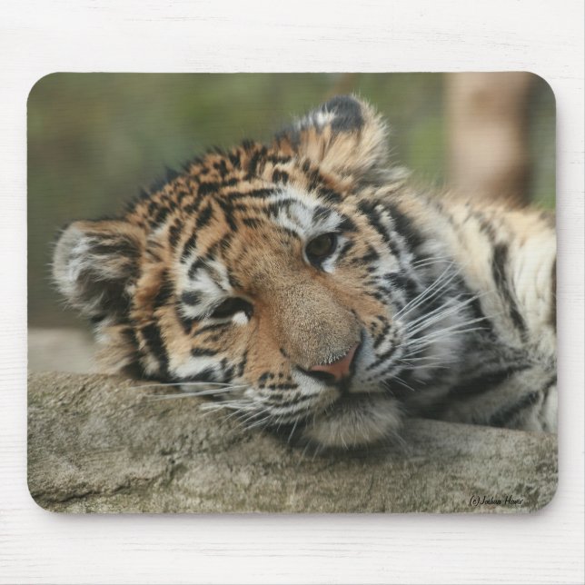 Sleeping Baby Tiger Mouse Mat (Front)