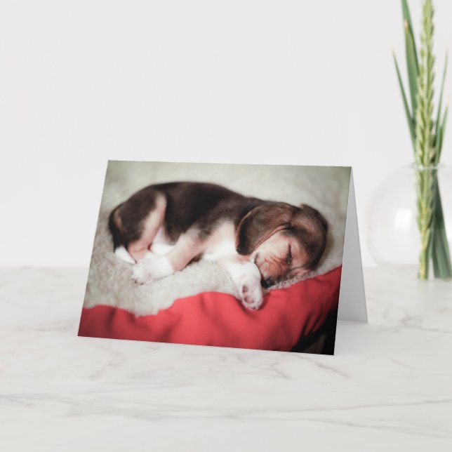 Sleeping Beagle Baby Card (Front)