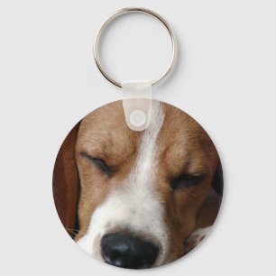 Sleeping Beagle Keychain