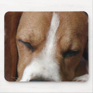 Sleeping Beagle Mouse Pad