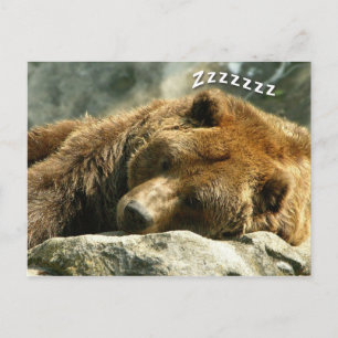 Sleeping Bear Postcard