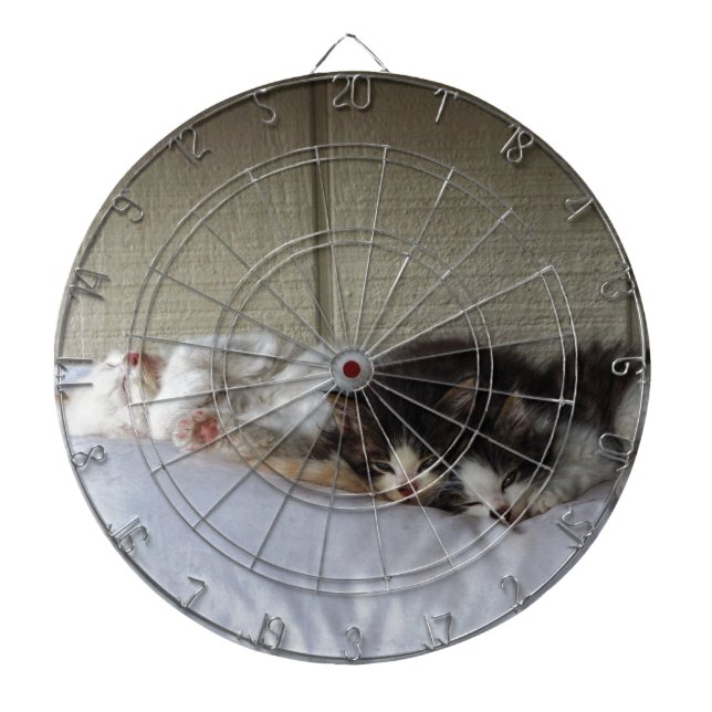 Sleeping Beauties Dartboard (Front)