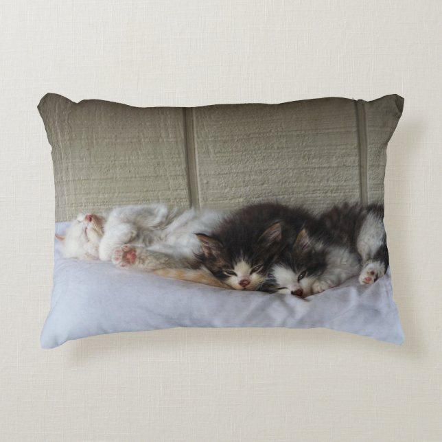 Sleeping Beauties Decorative Cushion (Front)