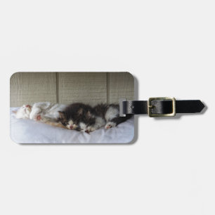 Sleeping Beauties Luggage Tag