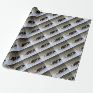 Sleeping Beauties Wrapping Paper