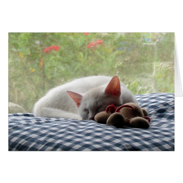 Sleeping Beauty (Front Horizontal)