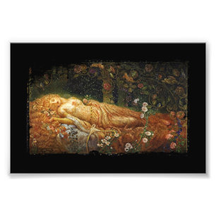 Sleeping Beauty and a Harp Photo Print